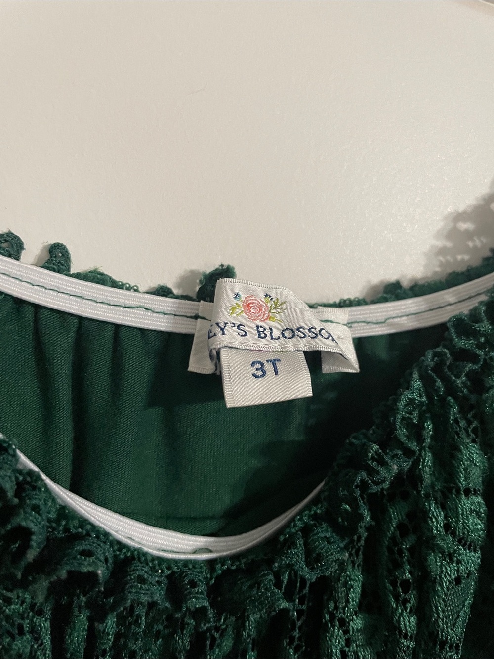 Baileys Blossoms Clara Cotton & Lace Flutter Maxi Dress In Green Size 3T - Picture 4 of 8
